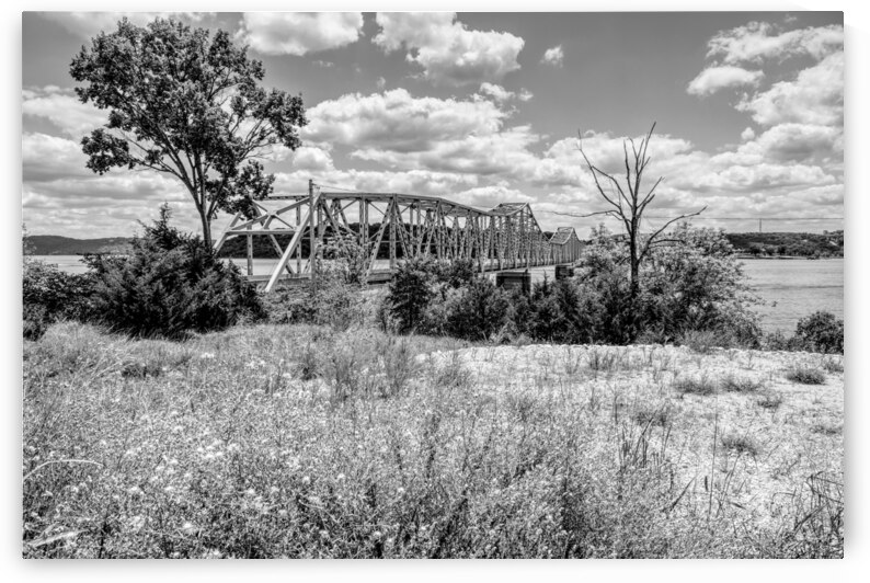 Kimberling City Bridge And Flowers Grayscale by Jennifer White