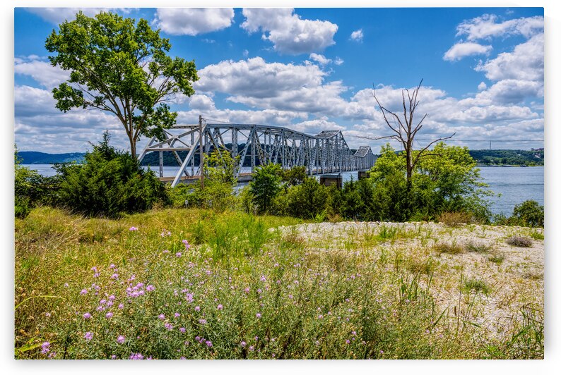 Kimberling City Bridge And Purple Flowers by Jennifer White