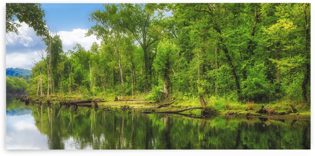 South Fork of Holston River panorama by Shelia Hunt Photography