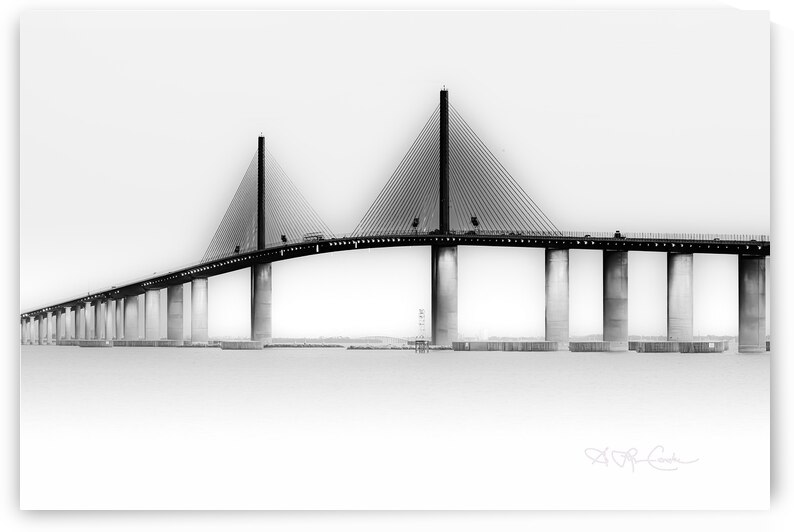 09122023 flamingo 338 Enhanced NR 2 by Susan Lynn Cooke