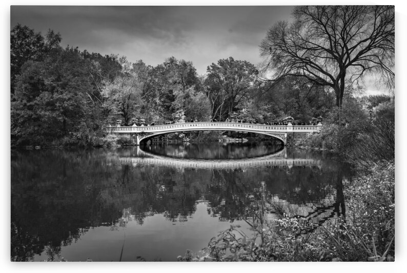 Central Park Bow Bridge. New York City. Black and White Landscape by Santiago Mazzola
