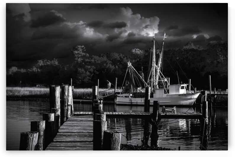Mcclellanville Regulus Shrimper  in Black and White by Norma Brandsberg Photography