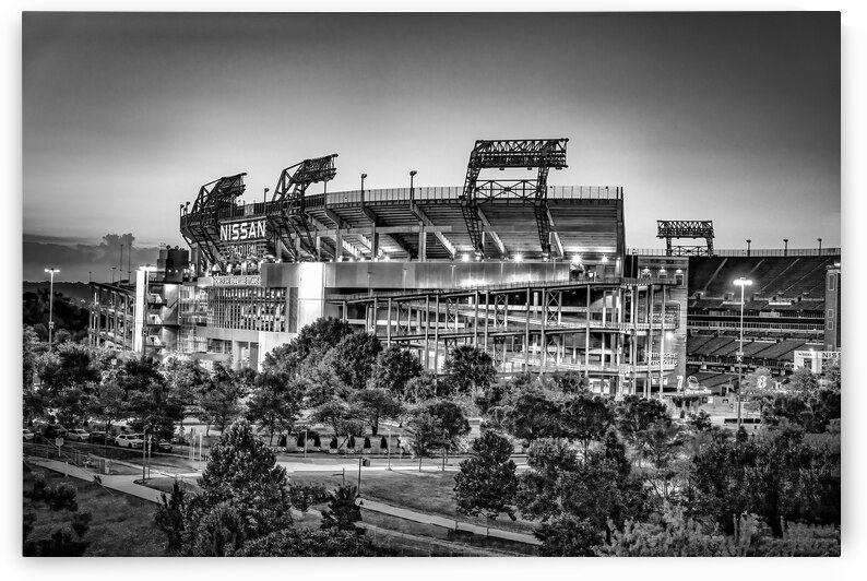 Tennessee Titans Nissan Stadium by Shelia Hunt Photography
