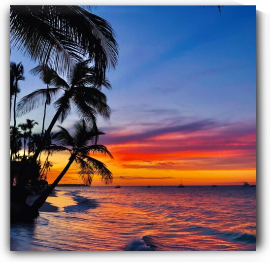 Palm Sunset by Modern Wall Artwork