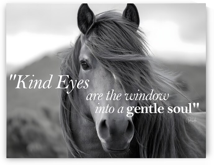 Kind Eyes by Pabodie Art