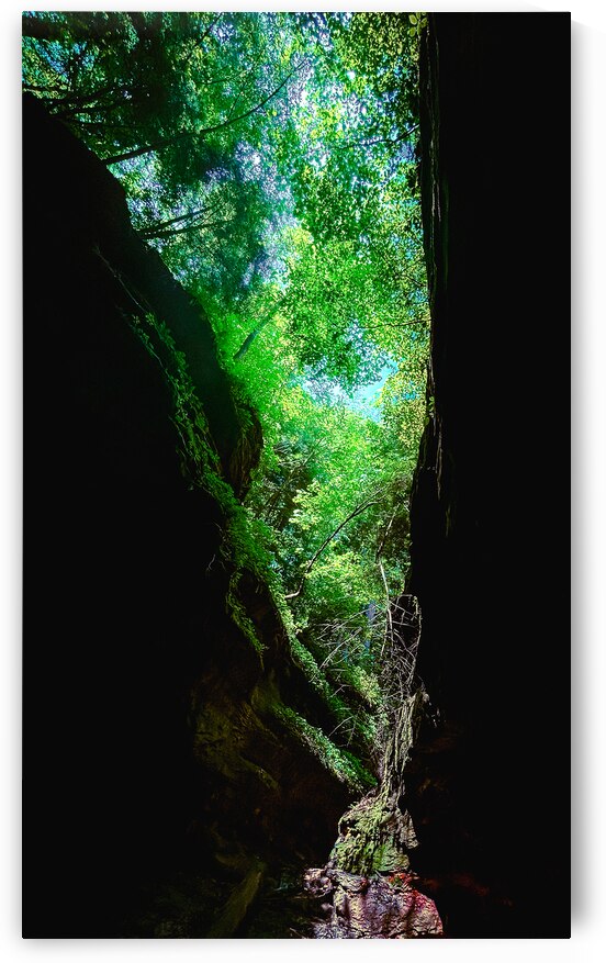 Heart of Nature  by Lucas Bryan