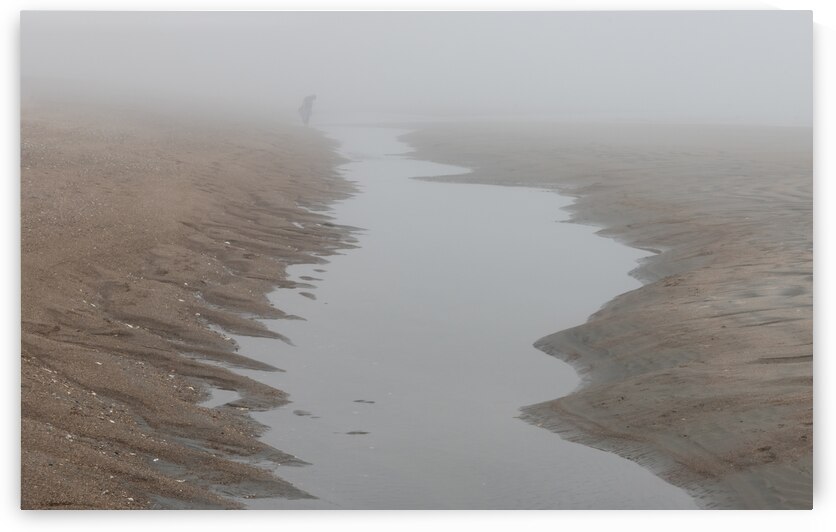 Alone in the Fog on Edisto Island by Norma Brandsberg Photography