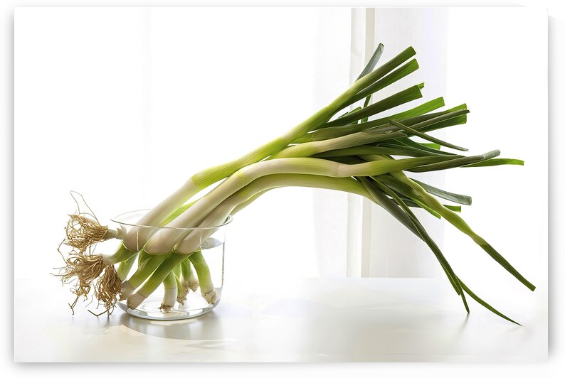 A bunch of green onions 1 by Ioan Cipariu