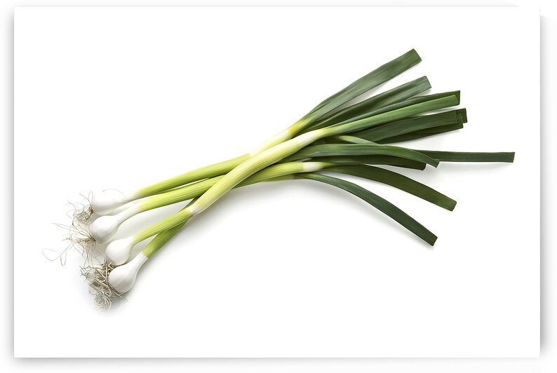 A bunch of green onions 3 by Romeu Hurmuzache