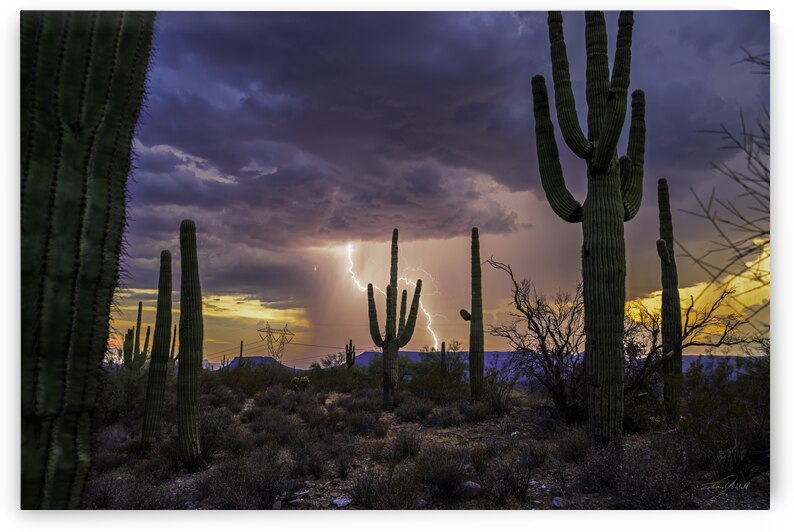 Arizona Sunset by Edward Mitchell