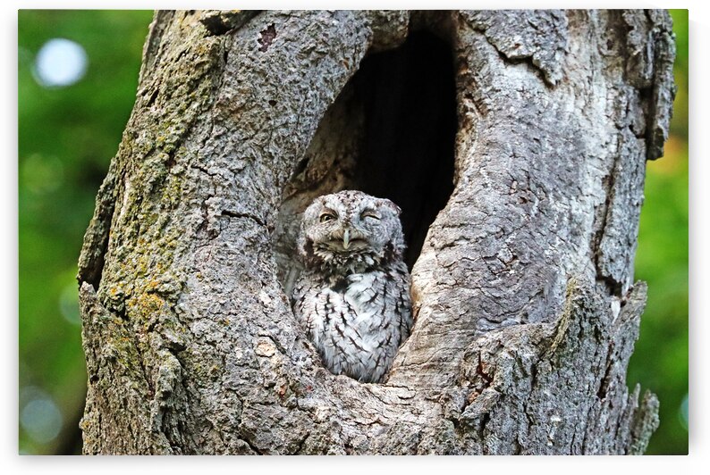 With A Wink And A Smile by Deb Oppermann