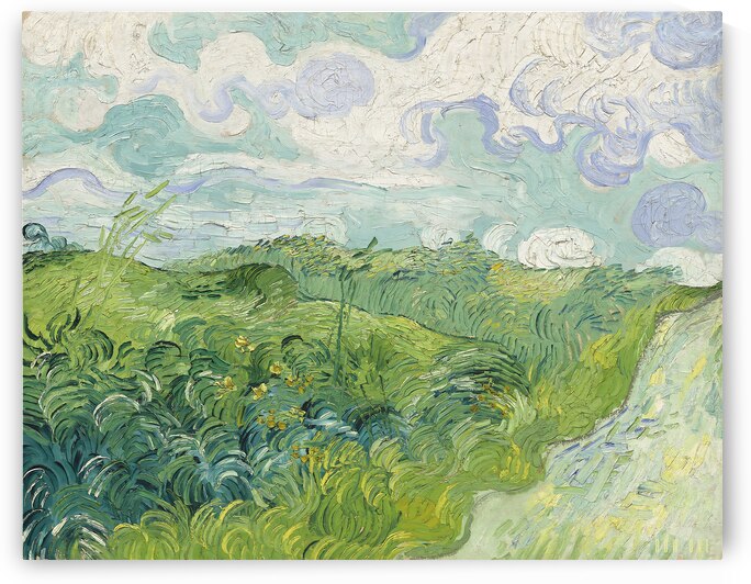 Green Wheat Fields Auvers  by Row One Brand