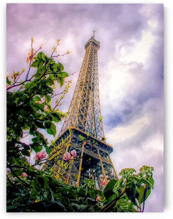 Eiffel Tower in Spring by Norma Brandsberg Photography