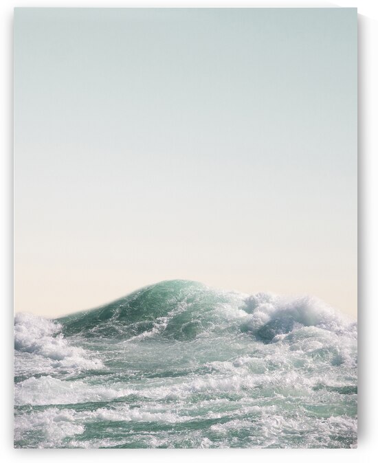 Wild Rapids by Wildhood