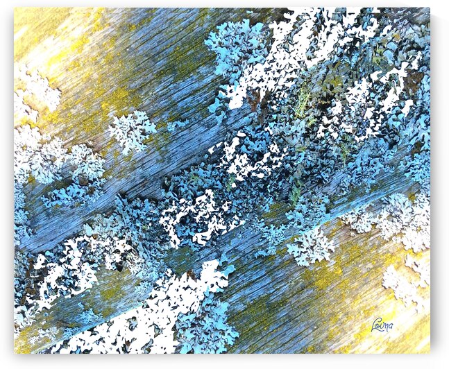 Printemps by Duo Numerique