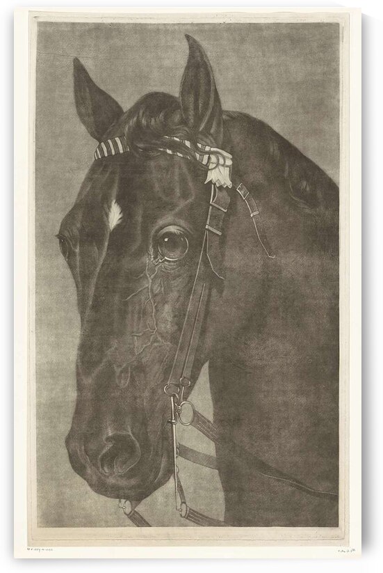 Head of a Horse with a Bridle James Newman Hodges by ASAR STUDIOS