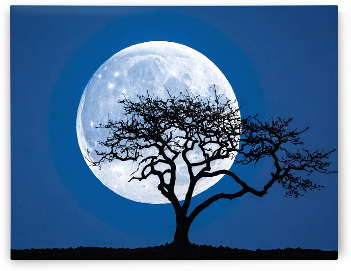 Blue Moon Echoes by Modern Wall Artwork