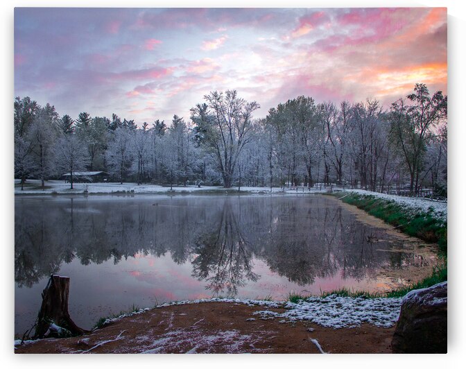 Morning Dew by Lucas Bryan
