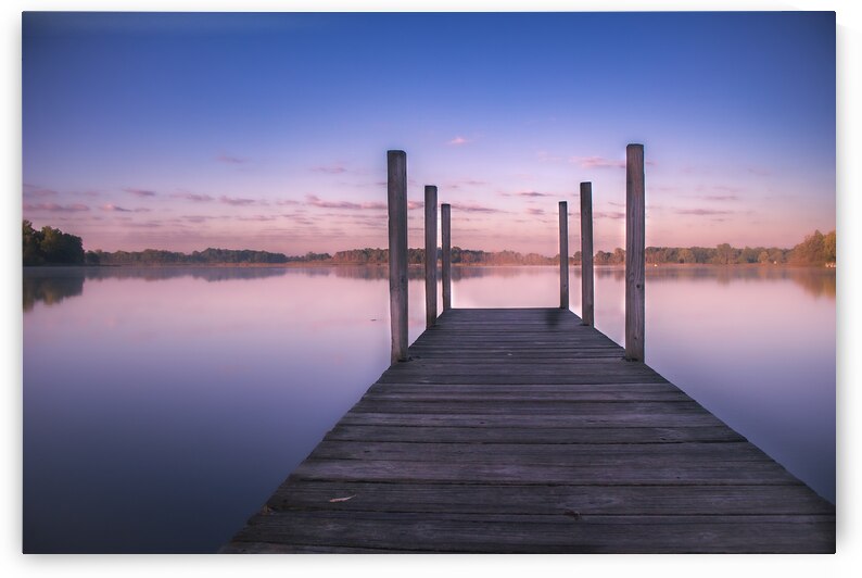 Peace by Lucas Bryan