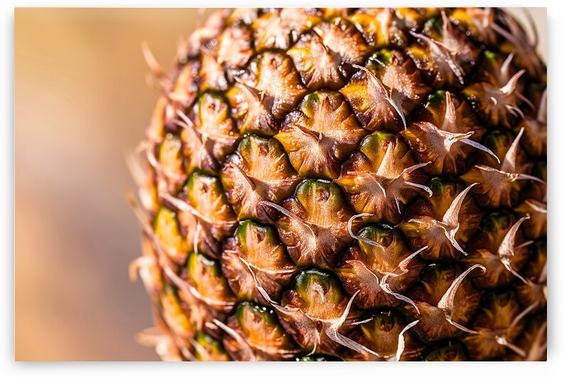 peel of ripe pineapple macro closeup 1 by Gheorghe Stanescu