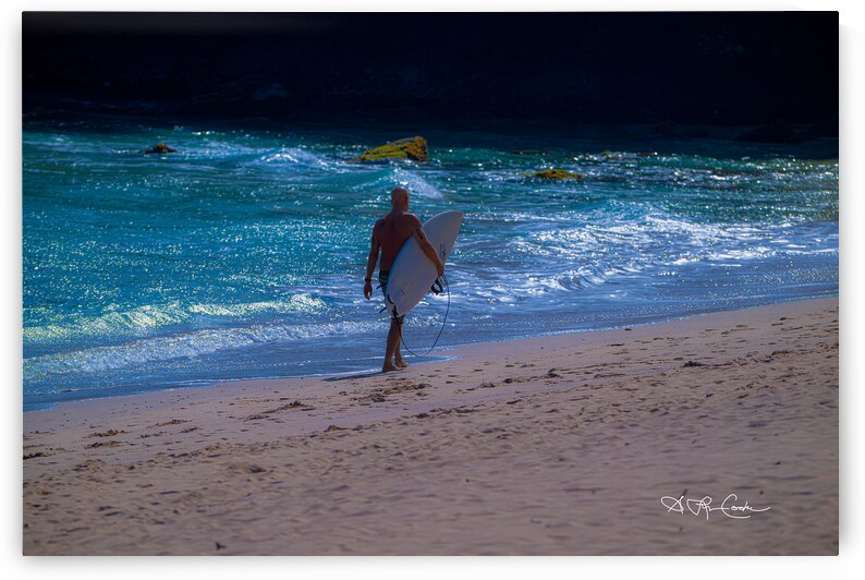 just another day at the office by Susan Lynn Cooke