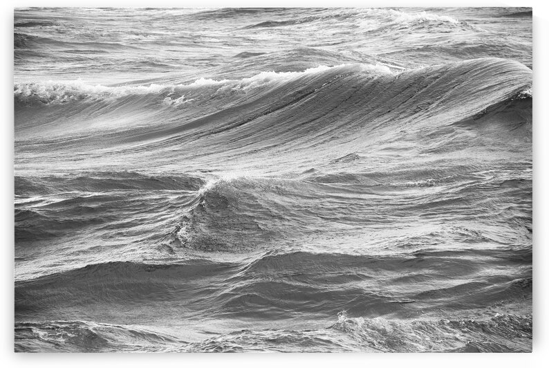 Silver Waves by Wildhood