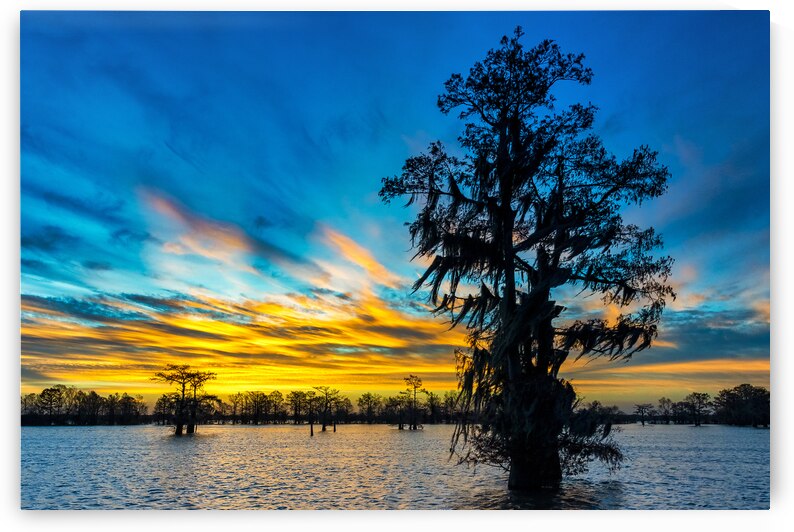 New Years Promise by Andy Crawford