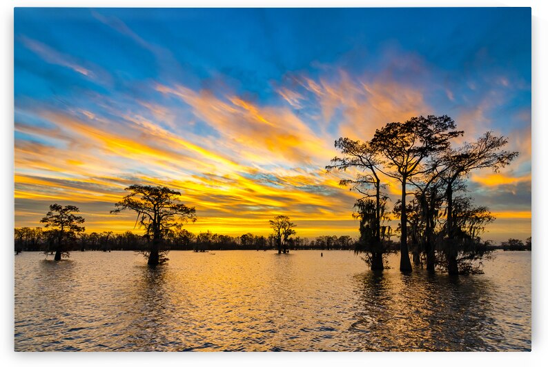 New Year Rising by Andy Crawford