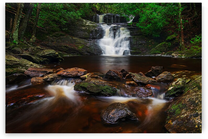 Rainy Day at Big Laurel Falls  by Andy Crawford
