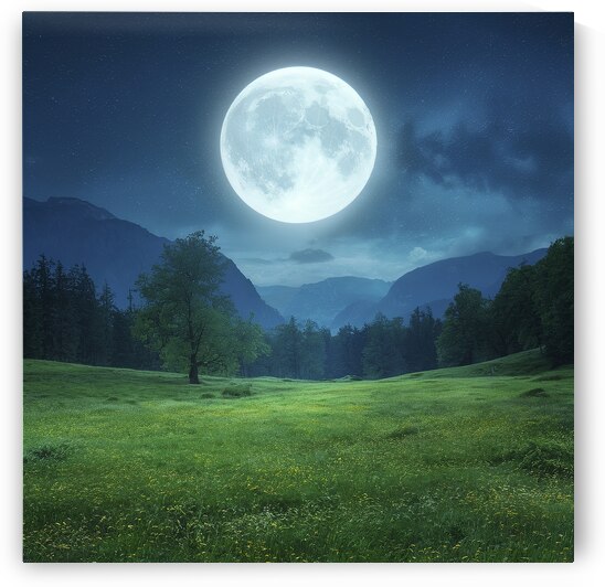 Wonderful night landscape. Moonlight over beautif 1722622863.6231 by Valentin Catargiu