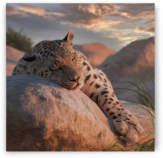 persian leopard sleeping 6 by Valentin Catargiu