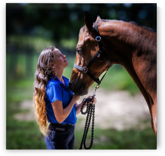 BZ9 8313 Enhanced NR by Susan Lynn Cooke