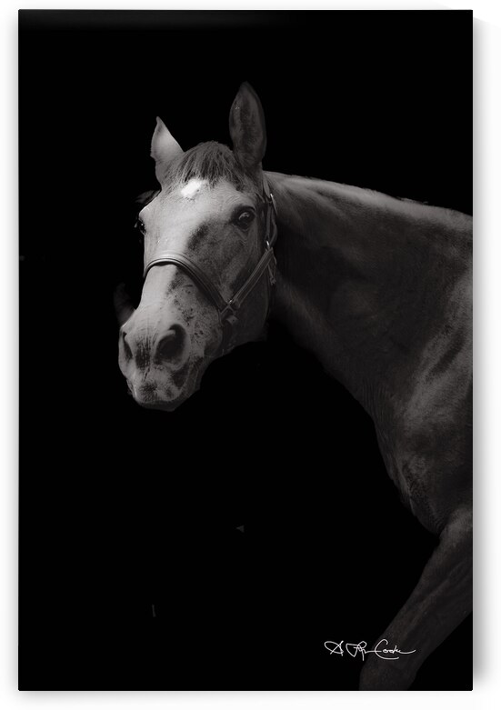 BZ9 3201 Enhanced NR 2 by Susan Lynn Cooke