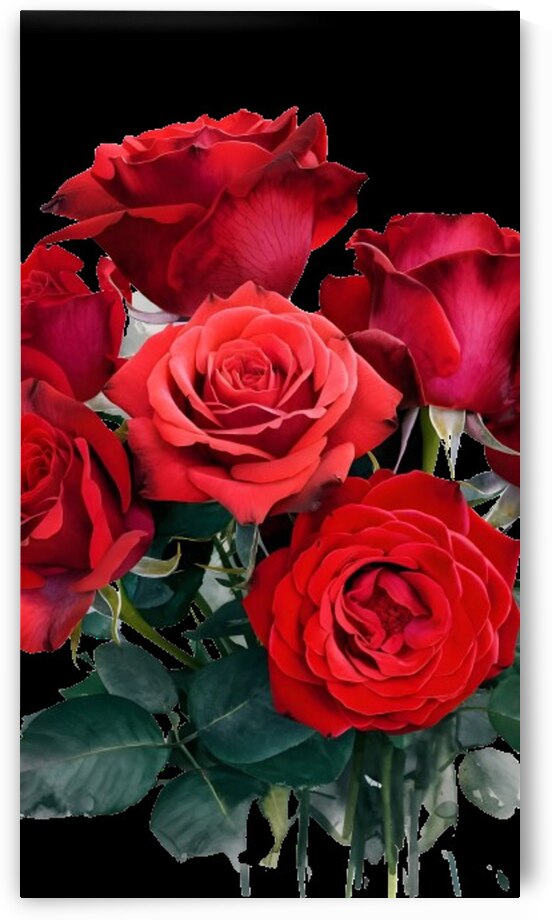 صورة لورود حمراء by Rose 1998