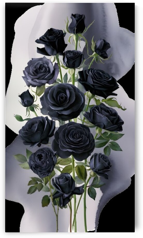 Photo of black roses by Rose 1998