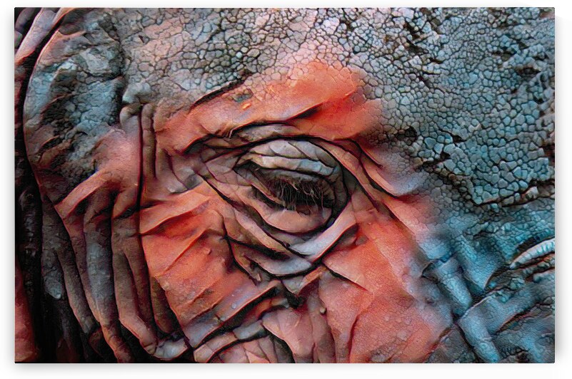 As High As An Elephants Eye by Michael D Davis