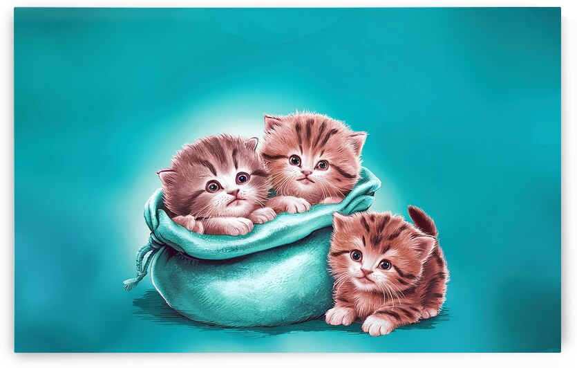 two fluffy kittens in a sack and one next to the by Mirela Poiana