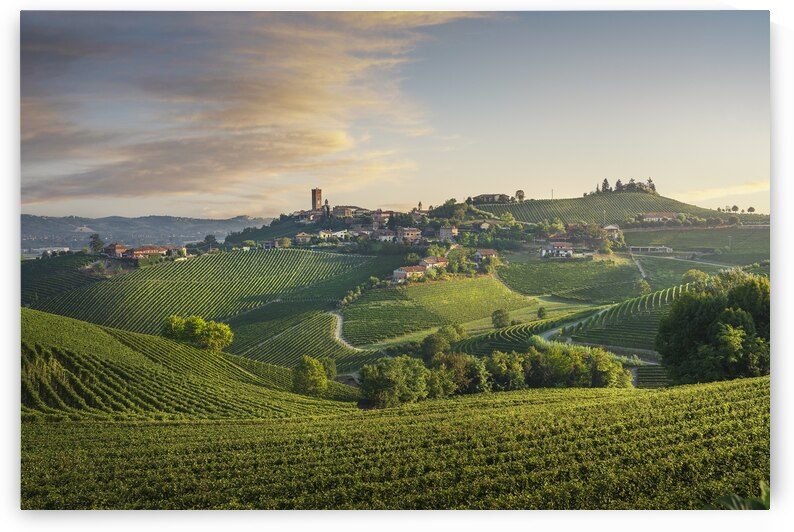 Barbaresco village and Langhe vineyards. Italy by Stefano Orazzini