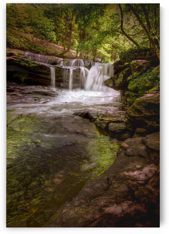 West Virginia Dunloup Creek Falls Vertical by Norma Brandsberg Photography