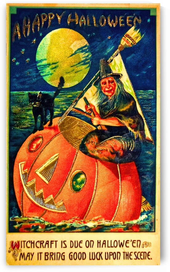 Halloween Witch Postcard by Steve Painter