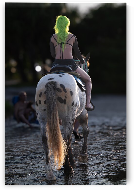 BZ9 8401 Enhanced NR by Susan Lynn Cooke