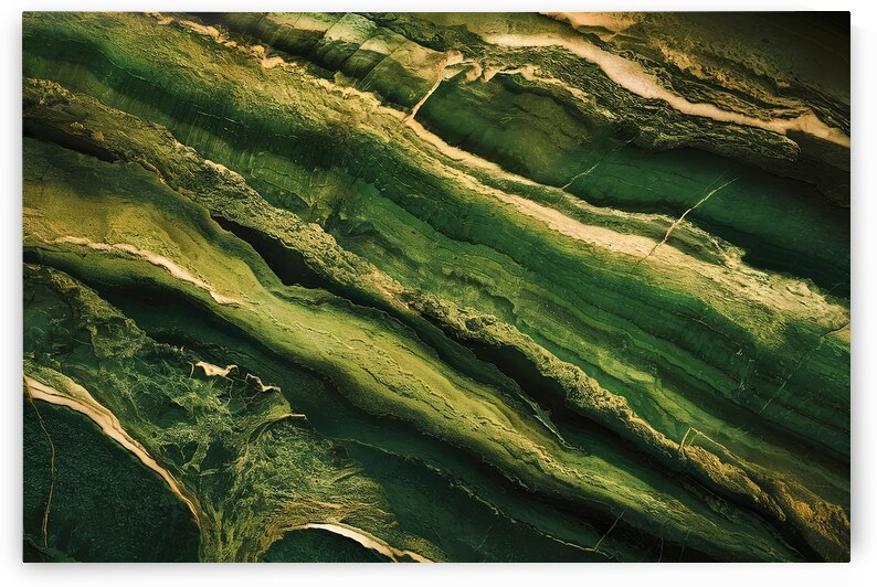 A stunning close up photograph of a deep green ma by Mitica Mihaila