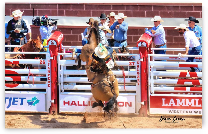 Going Vertical by Dave Cavan Photo Graphics