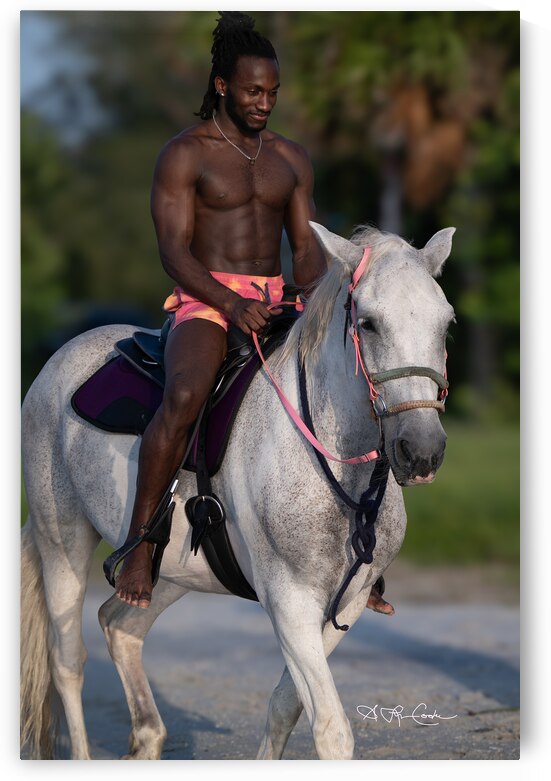 BZ9 8384 by Susan Lynn Cooke