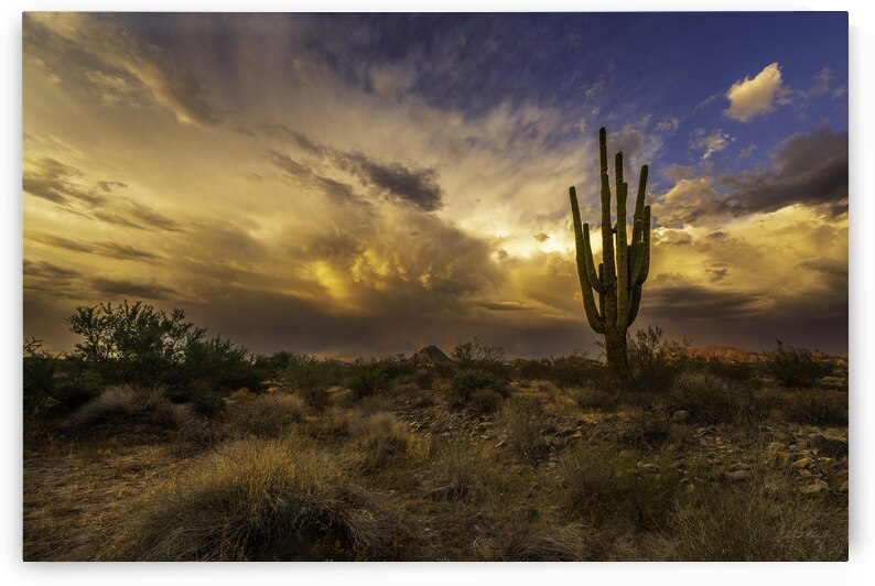 Mammatus Sunset over New River Arizona by Edward Mitchell