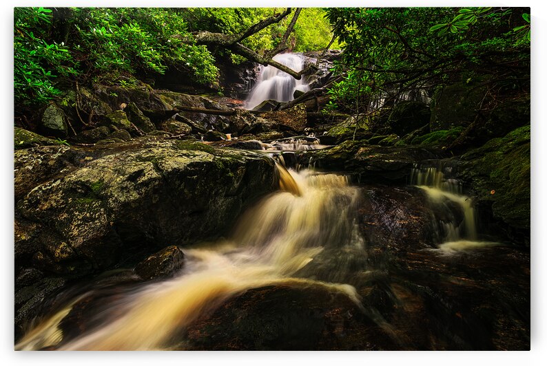 Below Mooney Falls by Andy Crawford