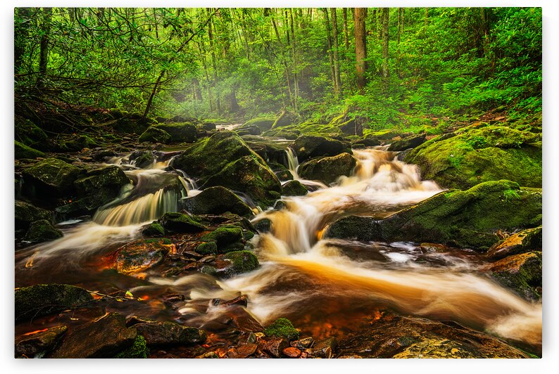 Nantahala River Headwaters by Andy Crawford