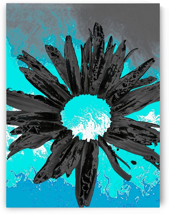Abstract Dark Fiery Daisy on a Turquoise Abstract Background by Catriona Roberts Nature Photography and Designs