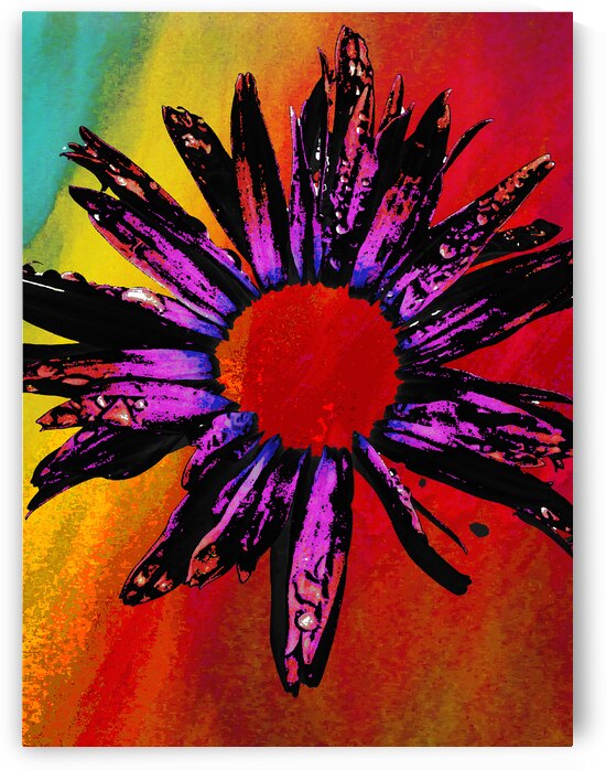 Abstract Purple Daisy by Catriona Roberts Nature Photography and Designs