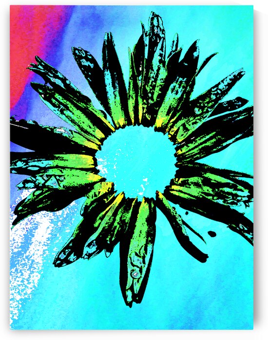 Abstract Daisy Green Centre by Catriona Roberts Nature Photography and Designs